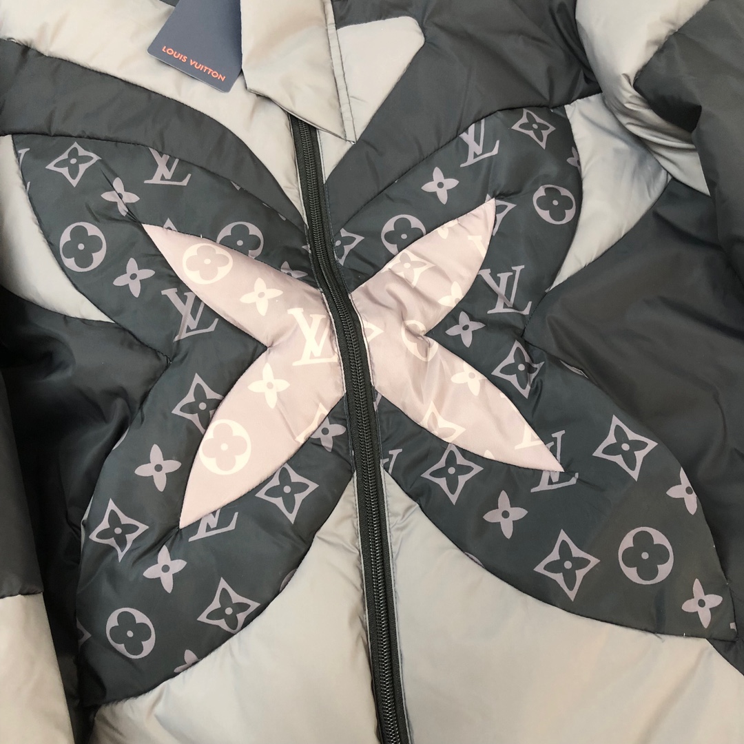 Louis Vuitton Down Jackets